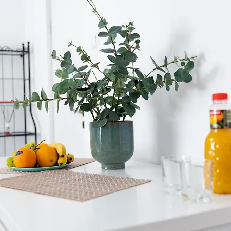 Διαμέρισμα Old Deluxe Universitate