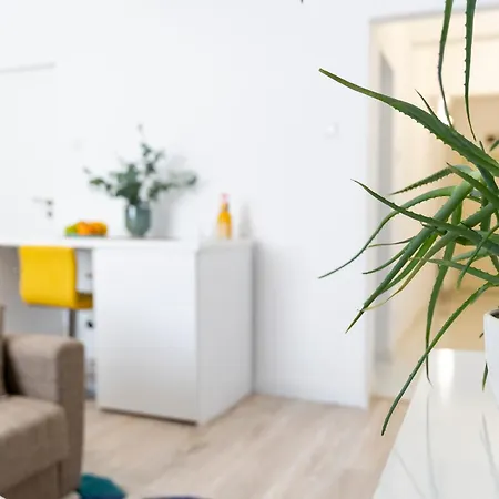 Old Deluxe Universitate 公寓