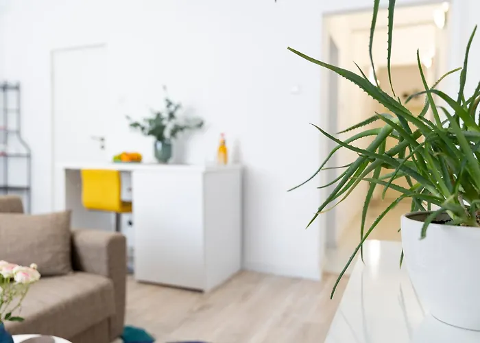 Old Deluxe Universitate Apartman